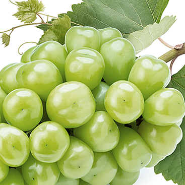 Grapes